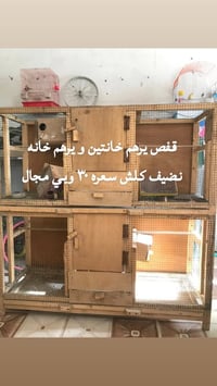 ديكور • مكلف بالنشر • السعر بالصورة