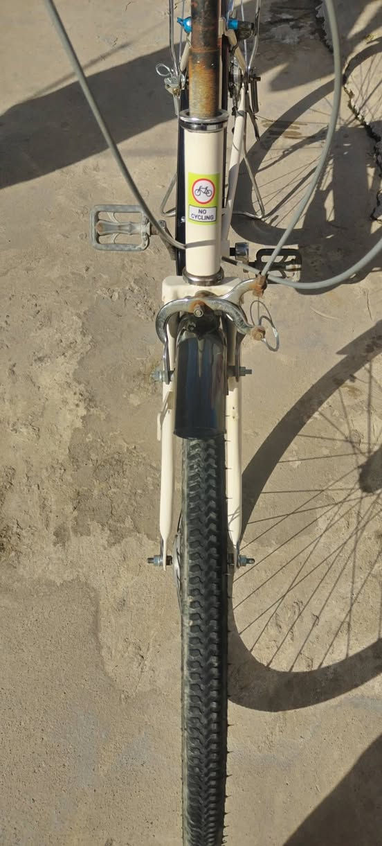 للبيع عبدحليم بناتي كير مصبوغ سعر 85بي مجال


**إذا كنت صاحب هذا الإعلان وتريد حذفه لأي سبب، رجاءا أرسل رسالة إلى الدعم الفني**