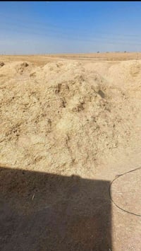 تبن شعير • الكابينه • ديالى