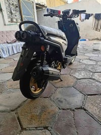 سكنس جبلي • فحل • جديده