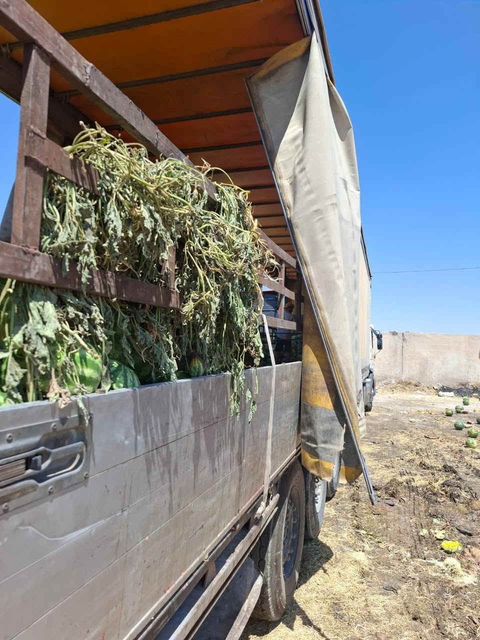 عربانة كرونة موديل2013 دسك على برة
***********مكان العمارة
