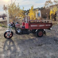 ستوته • موديل ٢٢ • مكفولة