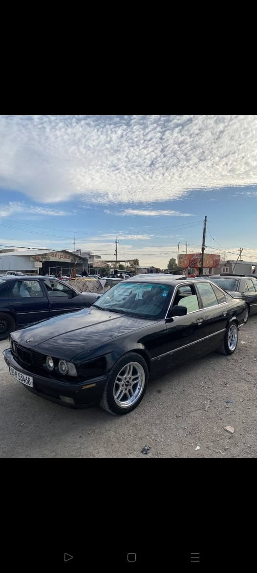 525 أصل بلاد كير عادي 
رقم كركوك سنويه لل 28 
سعر 48 وبيه مجال ***********
