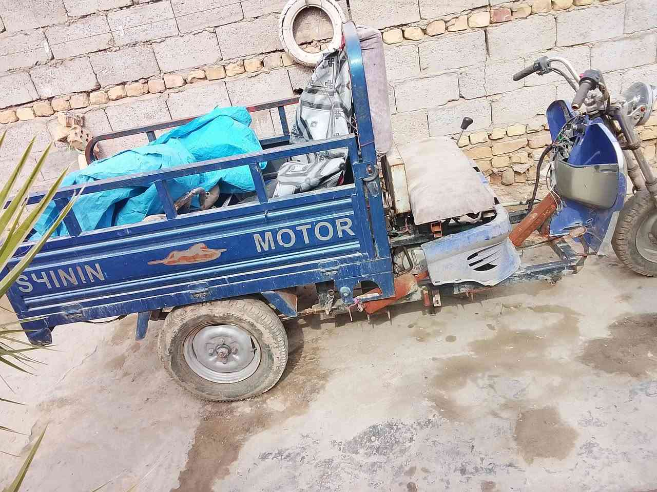 ستوته معوقين للبيع مكاني الدوانيه ***********
