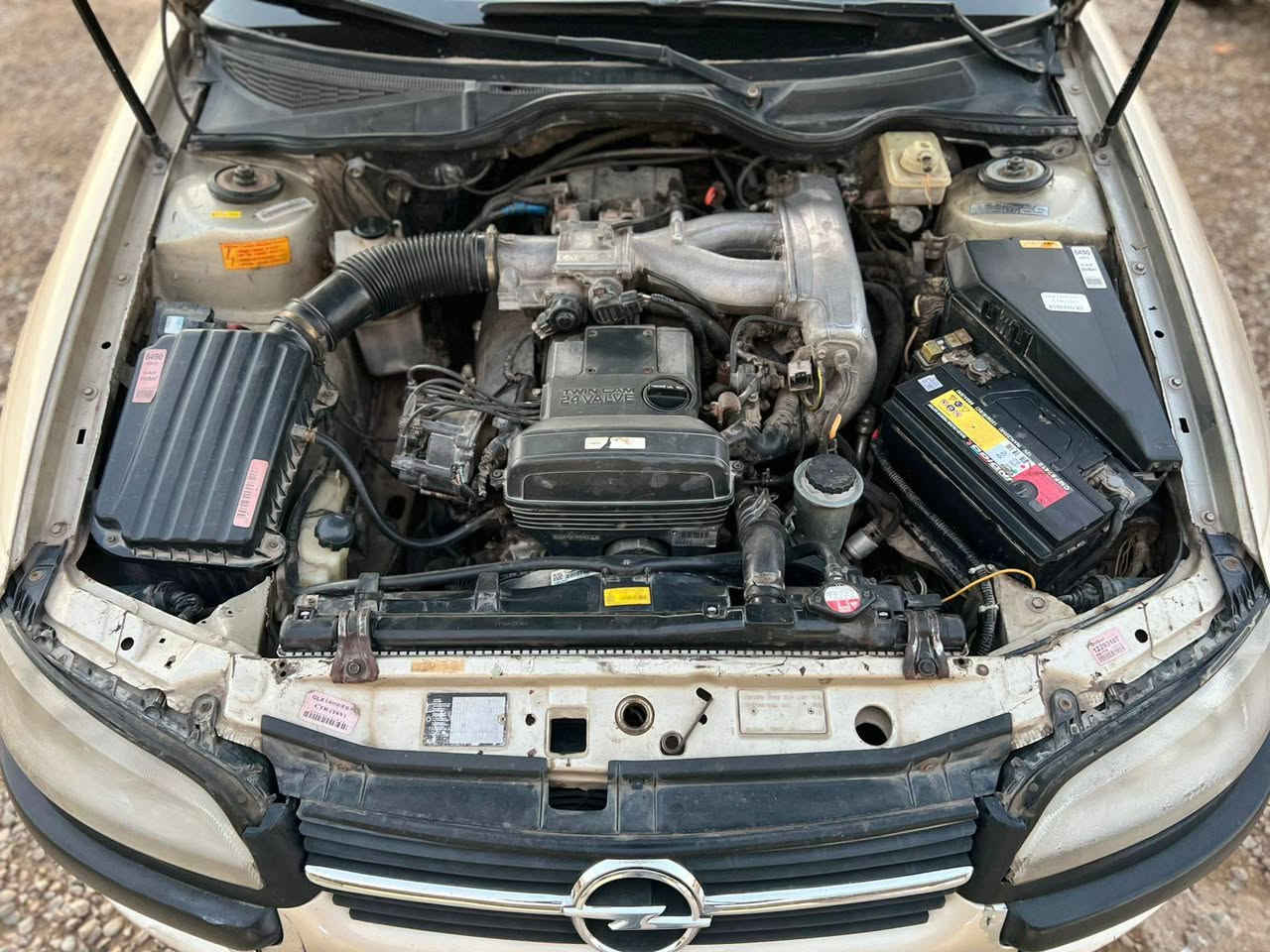 سلام عليكم
اوبل البيع مكينه ففتي3000 
رقم بغداد  نكليزي بسمي تحويل ثاني يوم 
سعر 60.   رقم الهاتف ***********
