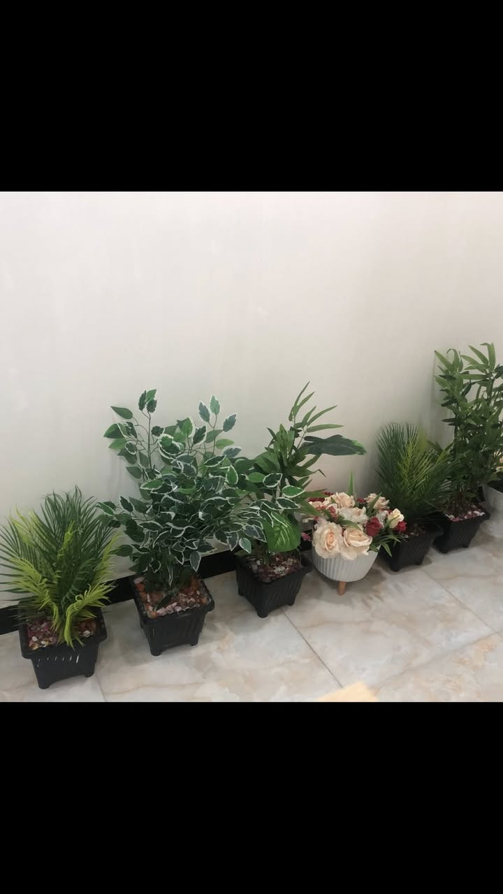 للبيع بغداد الشعب كل سبعه ب٥٠


**إذا كنت صاحب هذا الإعلان وتريد حذفه لأي سبب، رجاءا أرسل رسالة إلى الدعم الفني**