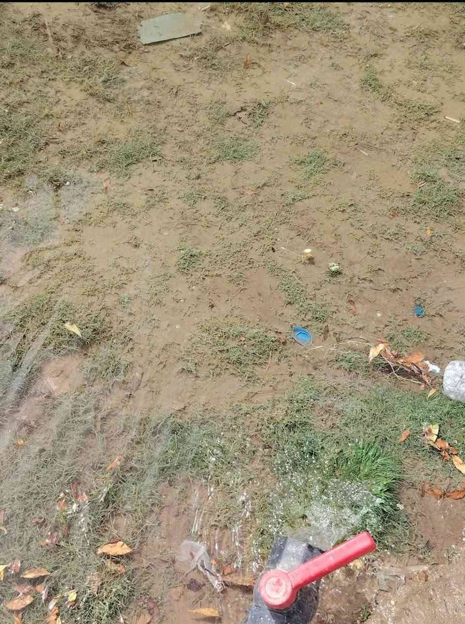 نقد او اقصاد 3دونم طابو سند 25 بسمي تحويل مباشر  بسمك سعر 24نقد خلف جامعه بابل ماي سقي نهر اباب الارض  ماي اساله متوفر 24ساعه صونده اساله بلباب الارض تبعَد عن التبليط والماي والكهرباء والسكن 100متر و تبعد عن جامعه بابل 3ونص كيلو تبليط سعر الدونم 27 اقصاد   تريد نقد تريد اقصاد العروض بس يمي *********** 📞 *********** عرض حصري وفرصه 
 مساح وشغل هندسه الارض مزرعه( تنطي مقدمه وقصد كل شهر بيكم خير وتدللون  ترهم سكن وترهم مزرعه كلشي ترهم شكد تريد ابيعلك منها
