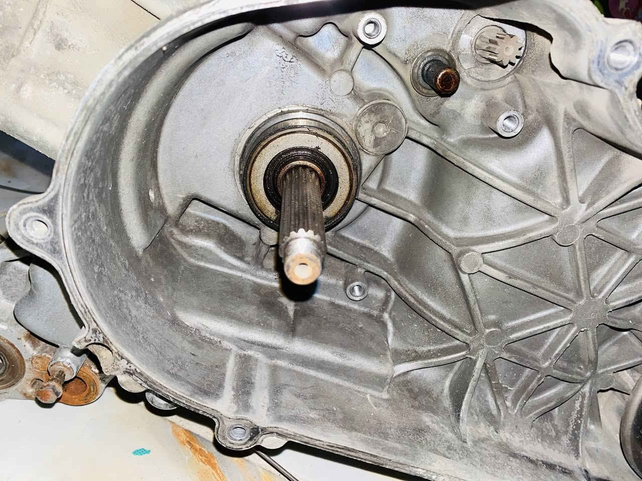 السلام عليكم طابوكه سكنس فحل لد نثيه مكفوله كفاله عامه مال رمبه نضيفه حيل الشراي يتصل *********** (ما مفتوحه )
