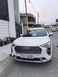 هافال جوليان • ٢٠٢٤ • كركوك