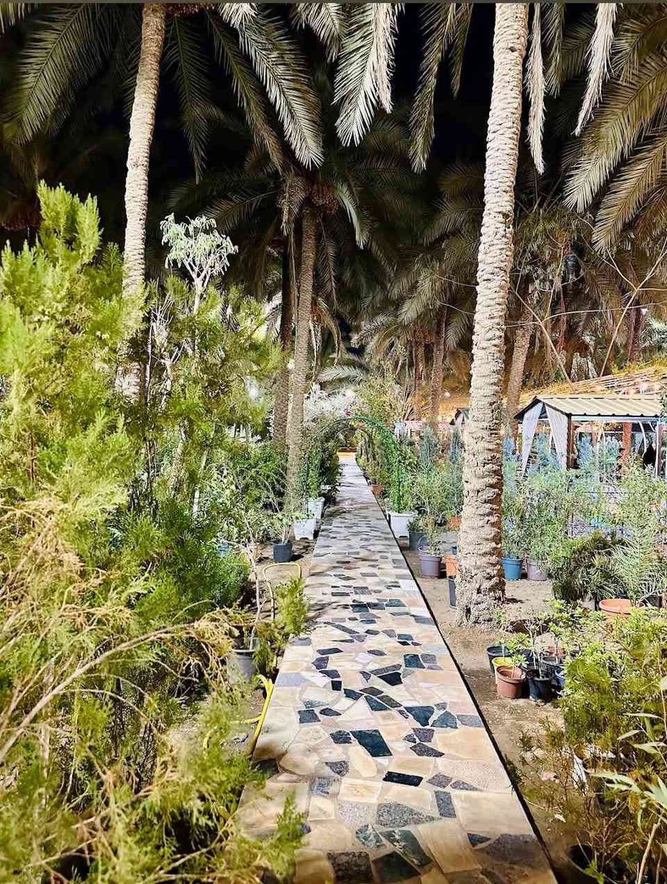 عرض العيد 
الى عوائلنا الكريمة 
ذهاب واياب من مركز طويريح الى مشاتل ومدينة العاب 
العتبة 
ب15 الف 
الإتصال على الرقم ‏‪***********‬‏
