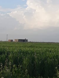٩٠ دونم • ملك صرف • ملعب تكريت الجديد