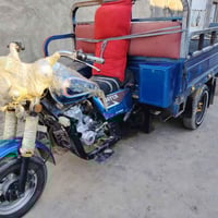 ستوته • موديل ٢٠٢٠