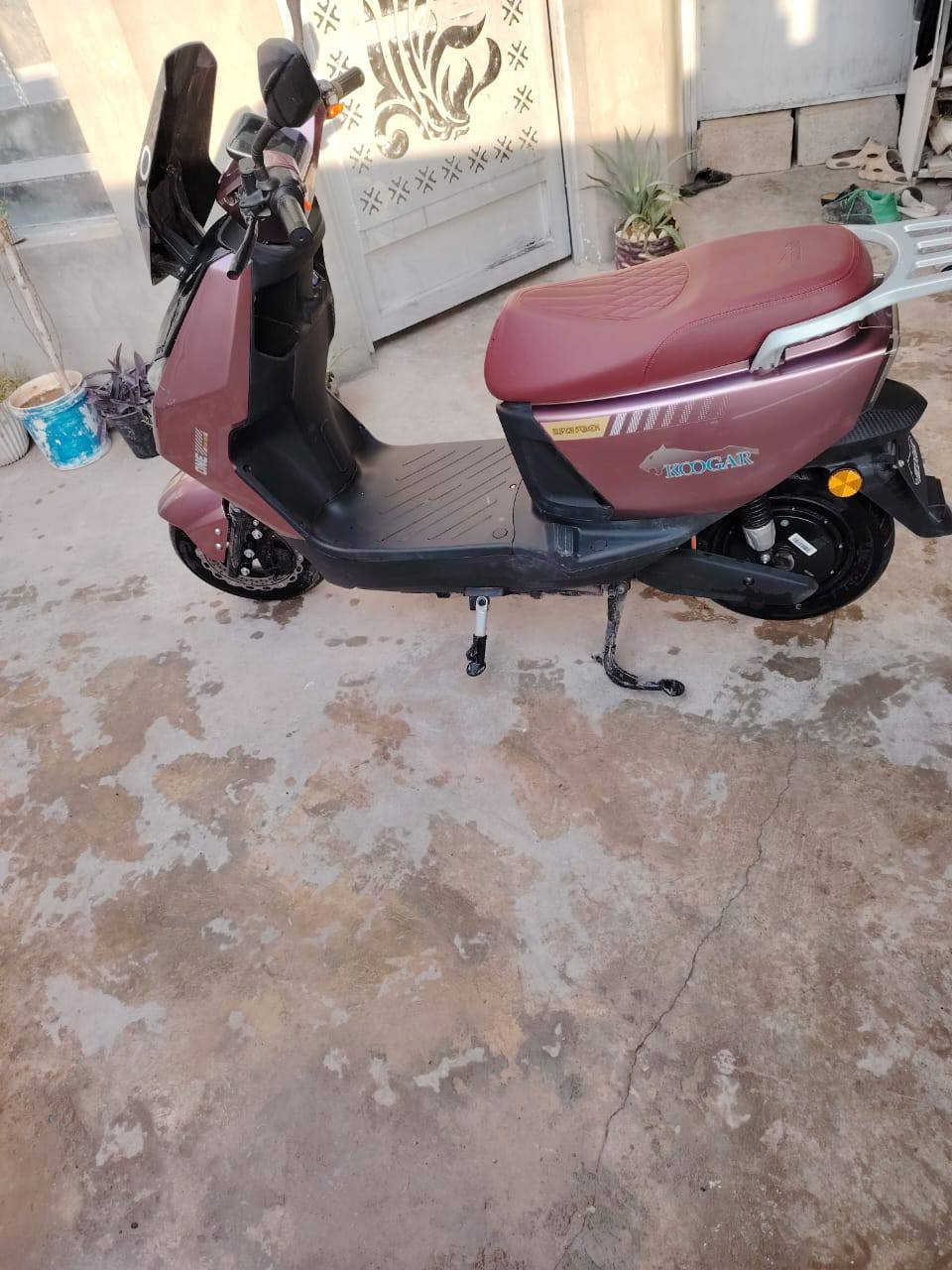 سلام عليكم..
دراجة شحن اللبيع 
6بطاريات عملاقه +ليثيوم 
الدراجة تحتوي على 3 سرعات 
السرعة القصوى 80
الدراجة تمشي 70km ب الشحن لوحده تبقه عندك اسبوع من لاحد الاحد 
الدراجة مستخدمة 3اشهر 
السعر 800 
مكاني /كركوك/قصاء/داقوق 
***********
