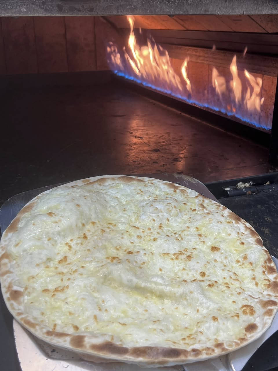 فرن لحم بعجين وبيتزا وفطاير يشتغل
جديد مستخدم شهرين فقط للتواصل *********** او ع خاص
