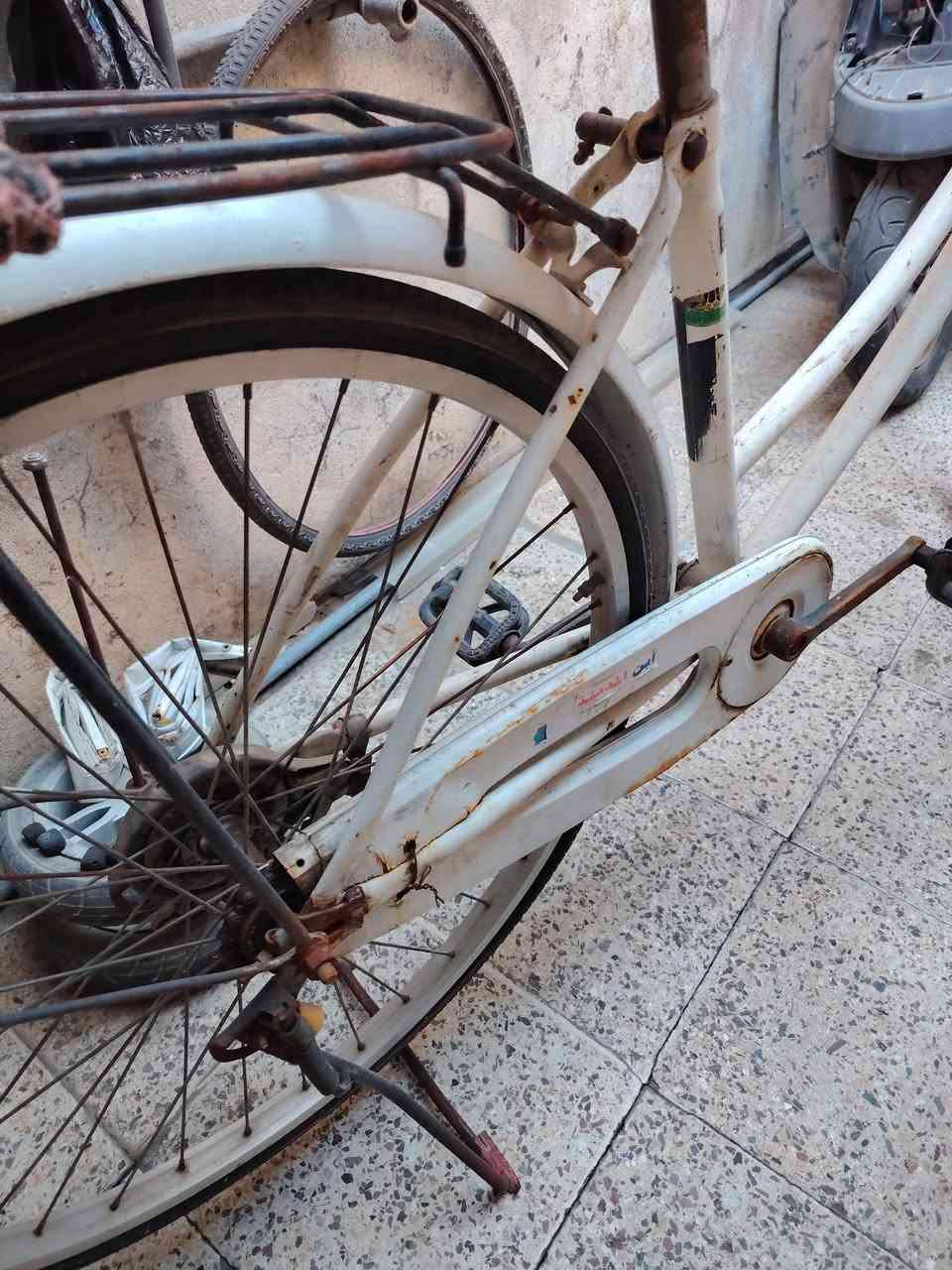 باسكل للبيع حجم 26 نضافة كدام عينك
سعر 45 قفل قفل


**إذا كنت صاحب هذا الإعلان وتريد حذفه لأي سبب، رجاءا أرسل رسالة إلى الدعم الفني**