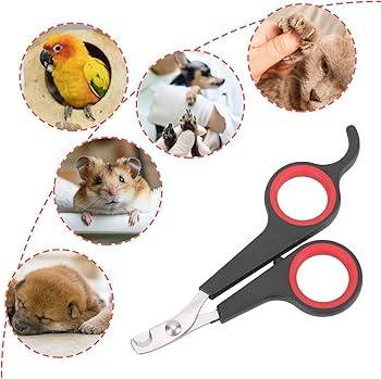 نینۆک بری پشیلەو سەگ و هەموو جۆرە ئاژەلێکی مال ئێستا بەردەستە بە نرخێکی گونجاو 
نرخی تەنها 3000
مەورەدەکی لەگەلە و دوو جۆرە جۆرێکی بە قفلە تەنها رەنگی شین ماوە جۆرەکەی دی جۆرێکی ئاسایی و پتەوە


**إذا كنت صاحب هذا الإعلان وتريد حذفه لأي سبب، رجاءا أرسل رسالة إلى الدعم الفني**