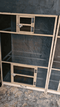 ---

📣 إعلان خدمة: "نجارة الأقفاص حسب الطلب" 🛠️🕊️

هل تبحث عن أقفاص خشبية متينة وأنيقة؟
هل تريد تصميم مخصص يناسب ذوقك وحجم الحيوان أو الطائر الذي تربيه؟
👇 نحن هنا لخدمتك 👇

🔨 نقدم خدمات نجارة الأقفاص اليدوية عالية الجودة: ✅ أقفاص طيور – أرانب – قطط – ديكور
✅ خشب معالج ومتين
✅ تصاميم خاصة حسب الطلب
✅ توصيل لجميع المناطق
✅ أسعار منافسة وجودة مضمونة

📏 نشتغل حسب المقاسات التي تطلبها
🎨 يمكنك اختيار الشكل، اللون، ونوع الخشب

📞 للحجز أو الاستفسار:
📍العنوان: [كربلاء واشتغل في كل المواقع]
📱 واتساب / اتصال: [***********
***********]
📸 شاهد بعض أعمالنا: [صفحة فيسبوك / @حسين الكربلائي]
