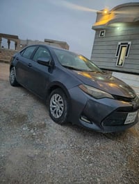 كورلا • ٢٠١٩ • رقم سليمانيه