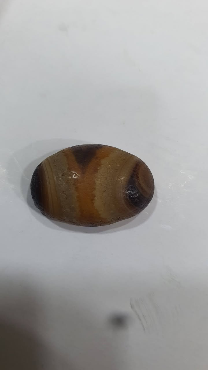 هندي قديم سليماني


**إذا كنت صاحب هذا الإعلان وتريد حذفه لأي سبب، رجاءا أرسل رسالة إلى الدعم الفني**