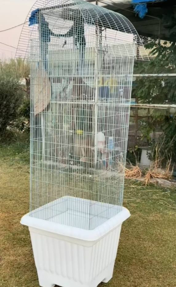 السلام عليكم  
عمل جميع الاقفاص السندانه      (طيور حب / كناري / فنجس/ بلبل ). حسب الطلب والقياسات +المعلف الحيوان وعلبة المياء و البيت  اي استفسار توصل وتساب /‏‪***********‬‏ متوفر في( الموصل)
.
