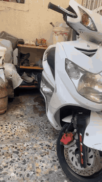 السلام عليكم
دراجه للبيع مكفوله صار شهر منزلها رمبه
السعر مليون وبيها مجال 
العنوان صليخ
تواصل ***********
