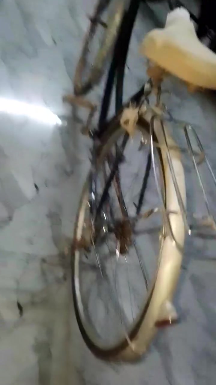 للبيع بايسكل سعره 55


**إذا كنت صاحب هذا الإعلان وتريد حذفه لأي سبب، رجاءا أرسل رسالة إلى الدعم الفني**