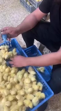 كادر متميز • تعقيم كامل • بدلات طبية