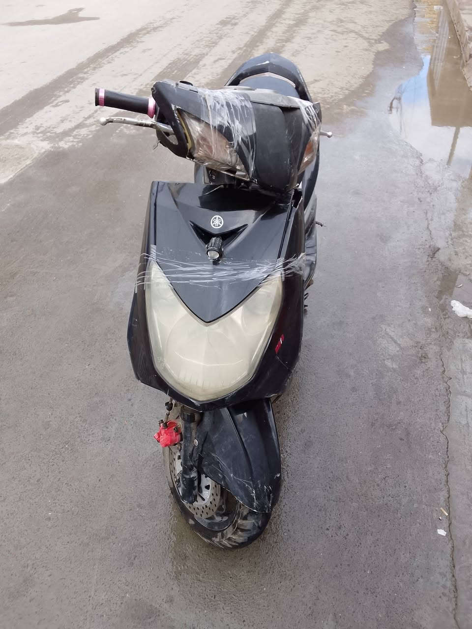 سكنس  للبيع فحل شغاله هندر سعر 350 قفل الامين الرقم ***********
