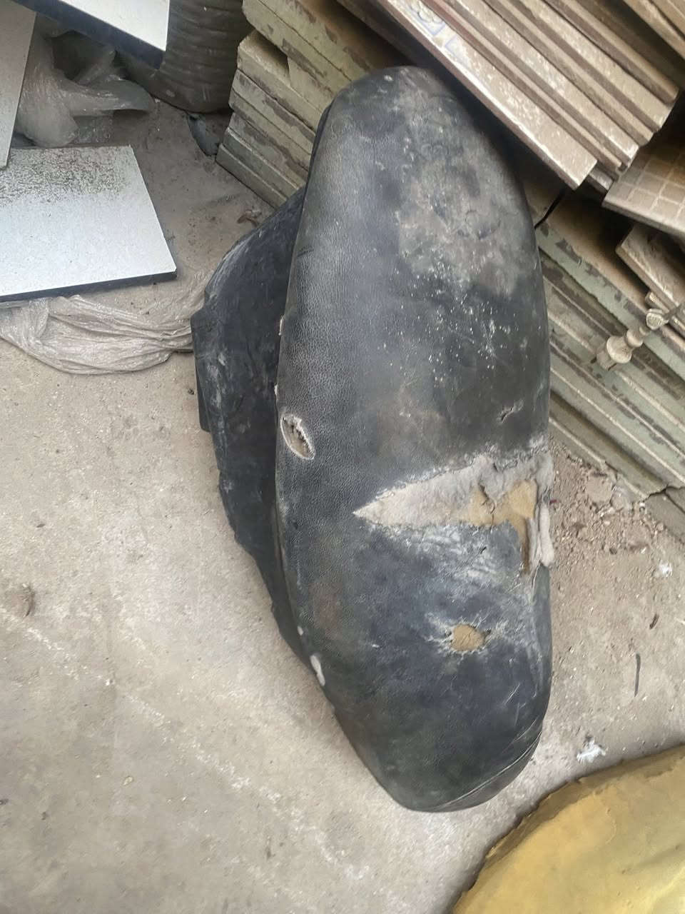 السلام عليكم متوفر غراض سكنس فحل 
سوادات حاضنه وكاعيه وواقيه مال طين
ضفيره كامله وياها جوزه بلاد 
وجويتر خطين 
مكاني بغداد مدينه الصدر موجود توصيل 
***********
