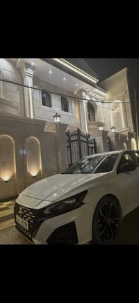 التيما امريكي • ٢٠٢٣ • ضرر خلفي