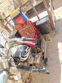 ستوته • الماني • ٢٠١٤