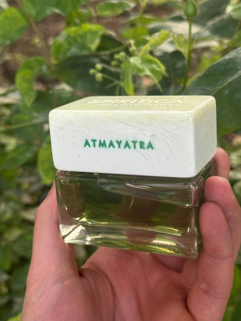 Atmayatra Spiritica
واحد من وحوش فی عالم عطور 
ريحة غريب جدا
عطر ايطالي جميل جدا

تركيز عطر %35
ثبات و فوحان مو طبيعي 

بالنسبة لي:
خلال 1 سنة و 3 اشهر اول مرة شممة عطر و اعجبت به لانة كل غريبب
مو مثل عطور اخر

ريحة عطر:
حشيش والنعناع ر الريحان و عمبر قوي من بداية عطر 
بعدين تغير لريحة كريمي بنكهة عمبر و  فانيلا نع رائحة عشبية 
 
شكل زجاجة جميل جدا مع حجر 
غريب مثل واضح في فيديو

متوفر بلاقسيم
3مل
12،000

5مل 
20،000

10مل
40،000


**إذا كنت صاحب هذا الإعلان وتريد حذفه لأي سبب، رجاءا أرسل رسالة إلى الدعم الفني**