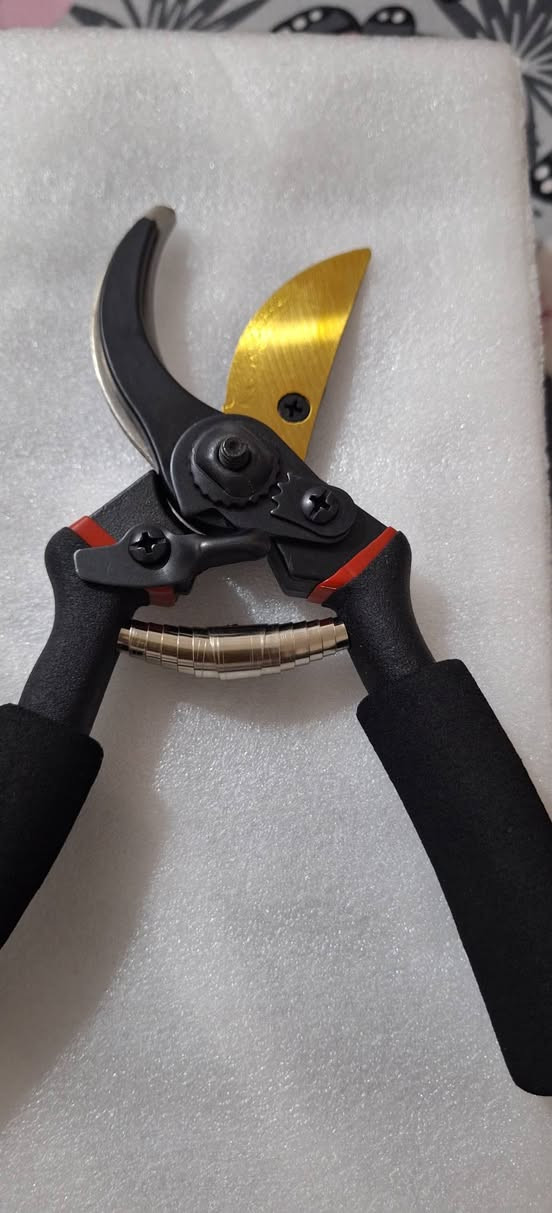 مقص زراعي اصلي


**إذا كنت صاحب هذا الإعلان وتريد حذفه لأي سبب، رجاءا أرسل رسالة إلى الدعم الفني**