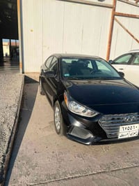 اكسنت • ٢٠١٩ • وارد امريكي