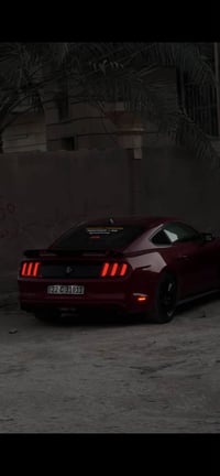 موستنك ٢٠١٦ • حادث خفيف • ماشية ١١٥