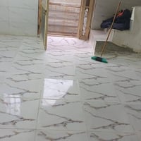 ٥٠م • طابو زراعي • شارع الصب