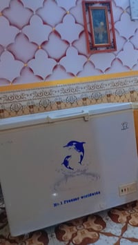 مكلف بل نشر مجمده للبيع لنضافه بشرط تجي تفحص بيدك تجميد خير من الله ال...