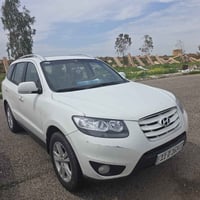 سنتافي ٢٠١٠ • كفاله عامه • ٧ راكب