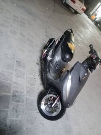 ماكس • عدلي • اصلي