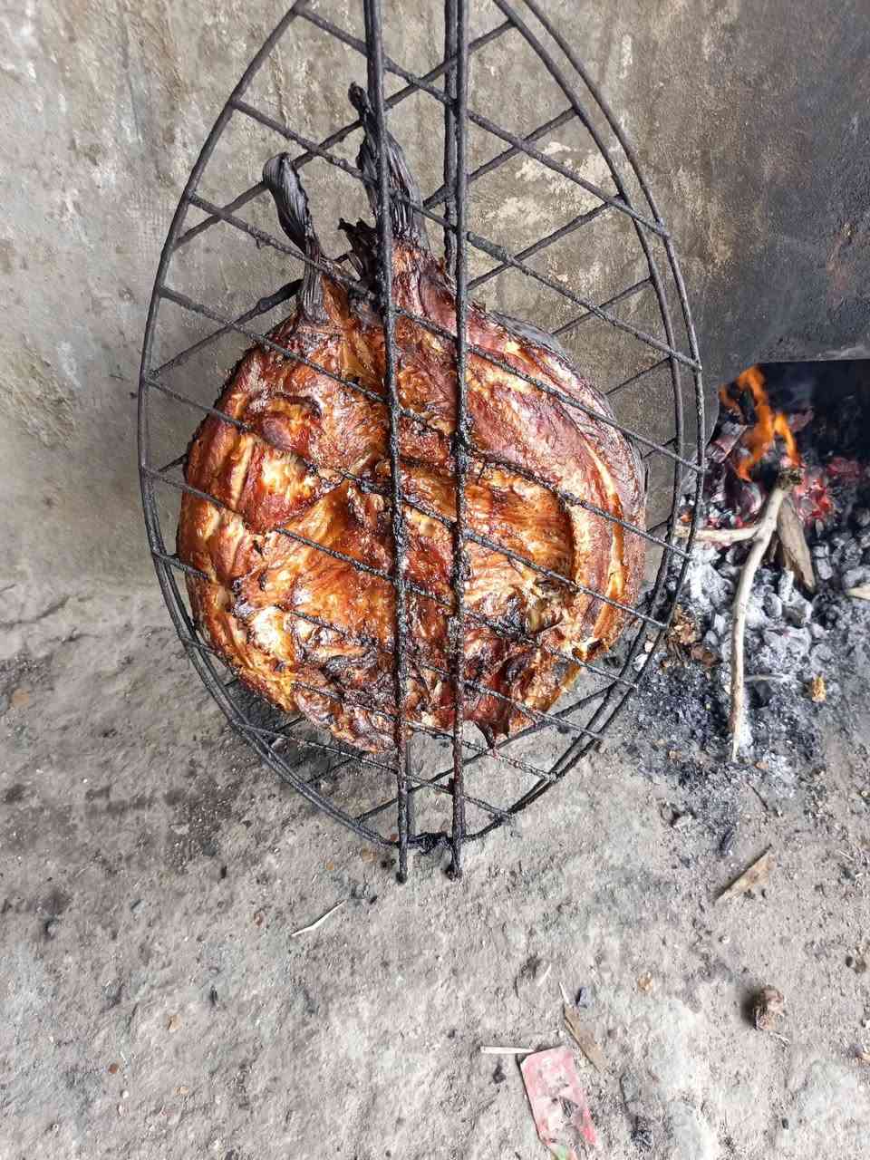 مطعم ومشويات الجواد مستعدون لتجهيز كافة المناسبات للحجز اتصال على الارقام التالية ***********@#$***********

