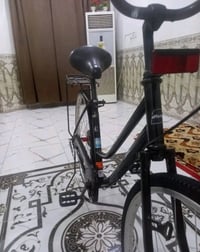 باسكل • ٢٠١٩ • قضاء القاسم