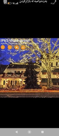 لید • ١٠٠متر