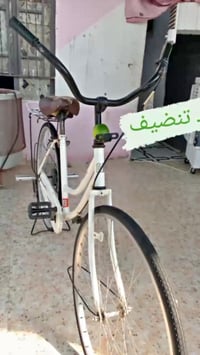 باسكل • حجم ٢٦ • عليه مجال