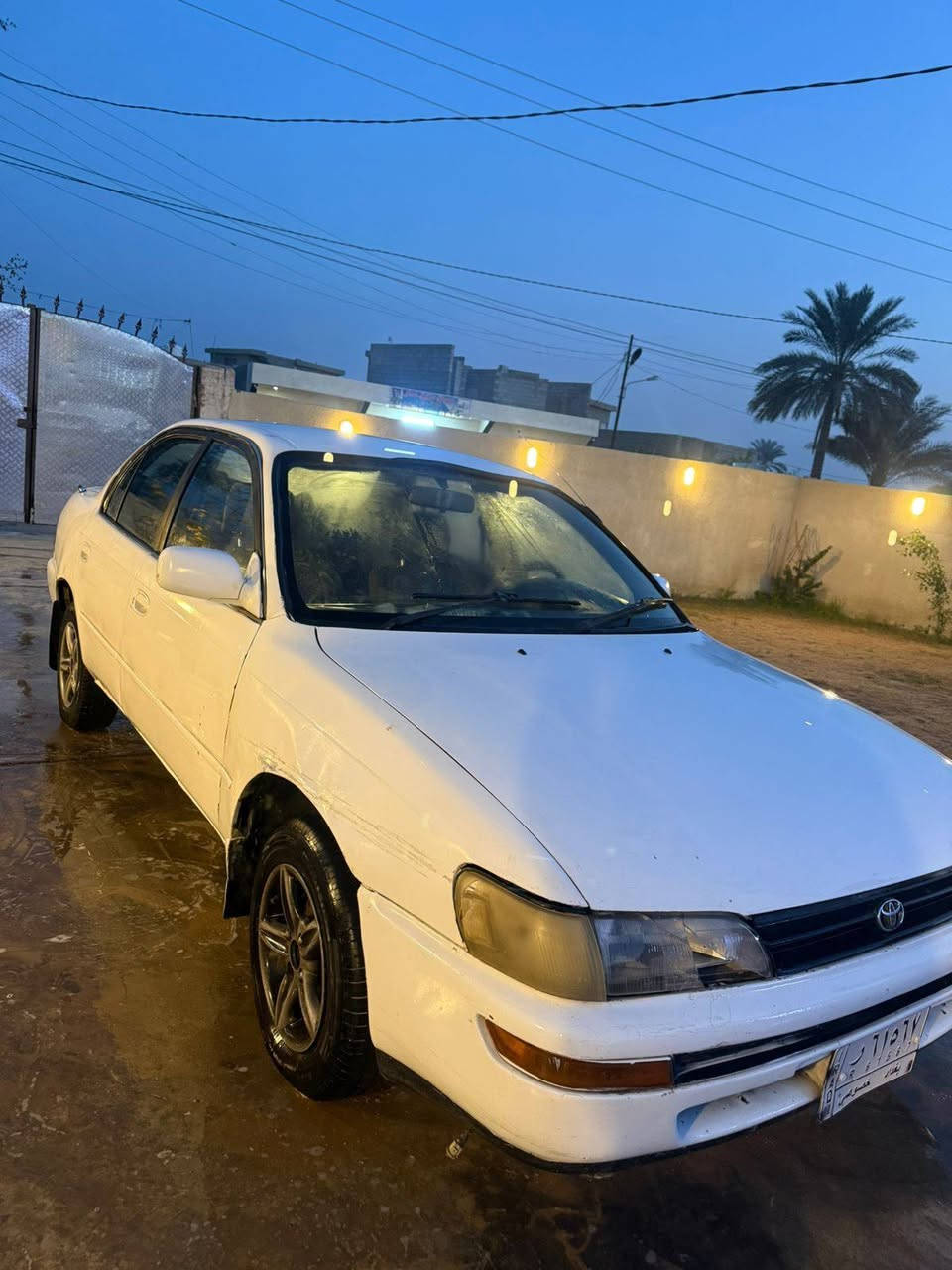 كورلا ٩٢ للبيع محوير كير عادي ومحرك خير من الله تبريد شغال تدفئه شغاله سياره بيها نواقص صدرها شويه تعبان تريد شاشه  وتريد يده ماسحات السعر 43 وبيها مجال صلاح الدين الضلوعيه


**إذا كنت صاحب هذا الإعلان وتريد حذفه لأي سبب، رجاءا أرسل رسالة إلى الدعم الفني**