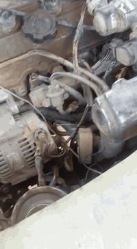 فتون • ٢٠٠٩ • النجف الاشرف