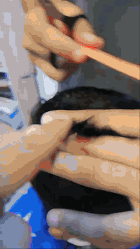 🎁✨ هديّة نهاية العام لكل متدرب – عرض خاص ومحدود! ✨🎁
مع ختام سنة 25 واستقبال سنة 26، جهّزنا لكم عرض مميز جداً يساعدكم تبدأون السنة الجديدة بمهنة محترمة وتطوير حقيقي لمستقبلكم 💈🔥

💈 هديّة نهاية العام:
كل متدرب وعند تخرّجه من الدورة راح يحصل على هديّة قيمة ومجزية تدعمه للدخول للعمل مباشرة وتزيد ثقته بنفسه.

💈 شهادة تقديرية لكل متدرب:
توثّق مهاراتك وتكون إضافة قوية لسيرتك المهنية.

💈 تقييم لكل قسم تتقنه:
حتى تعرف مدى تقدمك وتبني مهاراتك خطوة بخطوة.

💈 فعاليات ممتعة وتشجيعية داخل الدورة:
أجواء تحفّزك وتخليك تستمتع بالتعلم.

🚀 فرصتك الذهبية لنهاية السنة:
انضم واحصل على تدريب استثنائي يركز على صقل مهارتك… ويأهلك تكون جاهز للعمل من اليوم الأول!

📩 للتسجيل والاستفسار

*********** 
🔗 رابط التلكرام الرسمي للدورات: https://t.me/+8bH5nCIjCQs0ODEy

#دورات_حلاقة #هدايا_نهاية_العام #تعليم_مهني #طويريج #كربلاء #شهادة_تقديرية #تخفيضات_نهاية_السنة
