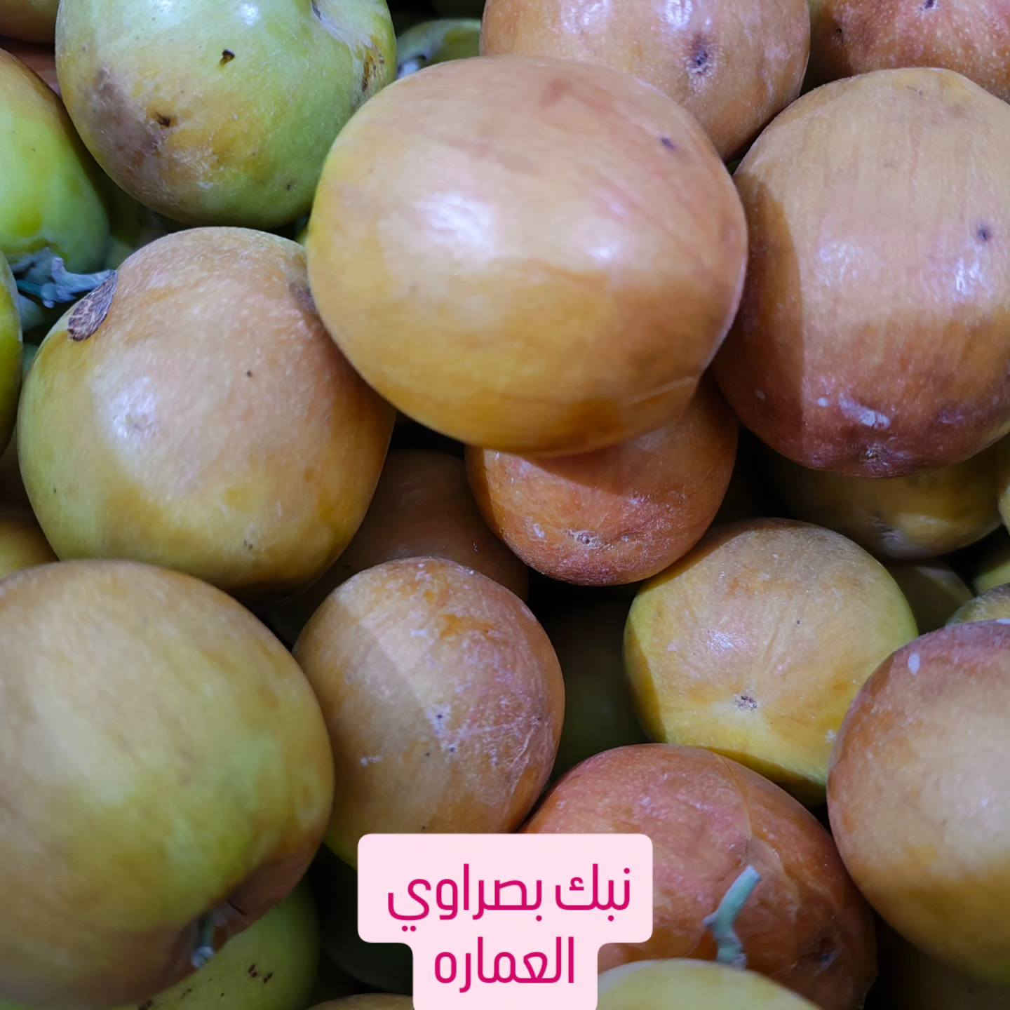 يتوفر نبك تفاحي بصراوي 
سعر الكيلو ٤ ونص 
المكان قطاع ١٥ شعبان خلف مستشفى الصدر السده مال كليه المناره 
النبك درجه اولى عسل


**إذا كنت صاحب هذا الإعلان وتريد حذفه لأي سبب، رجاءا أرسل رسالة إلى الدعم الفني**