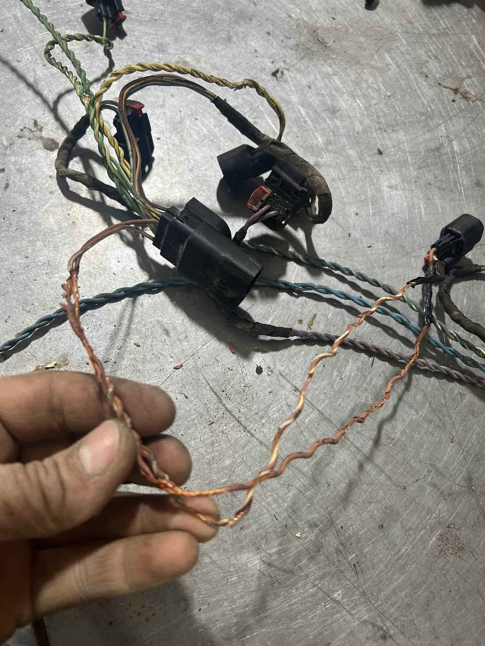 من ورشة الاخوين
تصليح وفحص السيارات بالكومبيوتر 
نوزل سياره شوفرليت سلفادور V8 GDI
مو كل من نظف نوزلات براسه خير مع احترامي لزينين 
نسمع من اصحاب سيارات غيرك ينظف نوزل ب 10 الف
ليش يمكم غالي ? هاي صوره هو اليحچي مو اني
خطيه صاحب سياره بس يفتح نوزل ويشد حتا براغي ثلاجه
كلها مسولك من كثر الفتح وشد ؟ طلع ضفيرة كلها دمج
عنوان كركوك حي صناعي جنوبي خلف محطة بنزين الشهيد 
سايدين رئيسي مقابيل شريكة حدادة الحدباء 
📞 *********** & ***********
