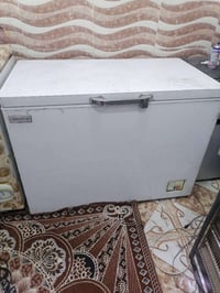 مجمدة مابي • ١٤ قدم • كركوك حي العروبه