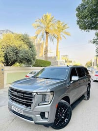 دنلي • ٢٠٢٣ • PPF اصلي